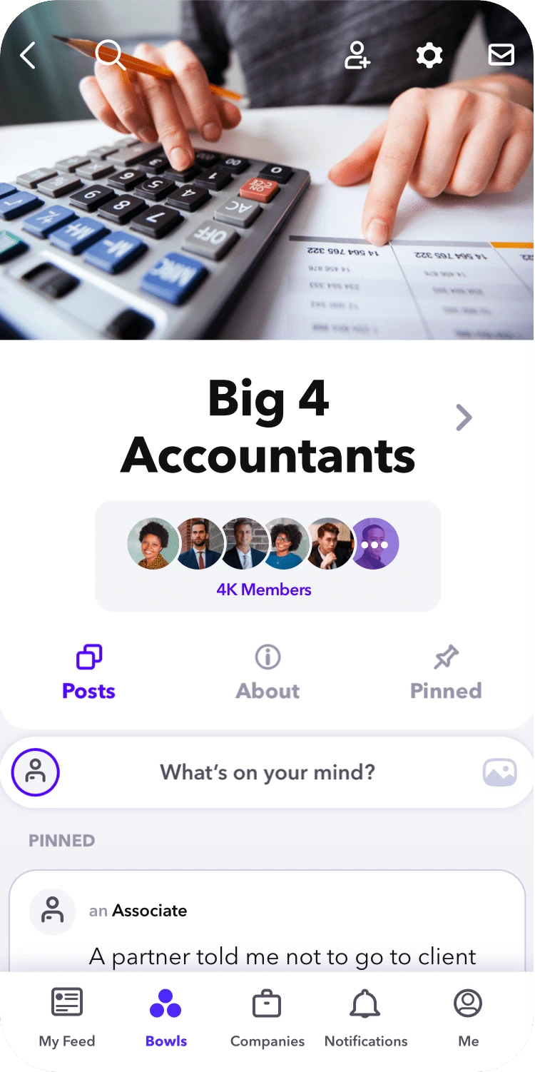 Big 4 Accountants
